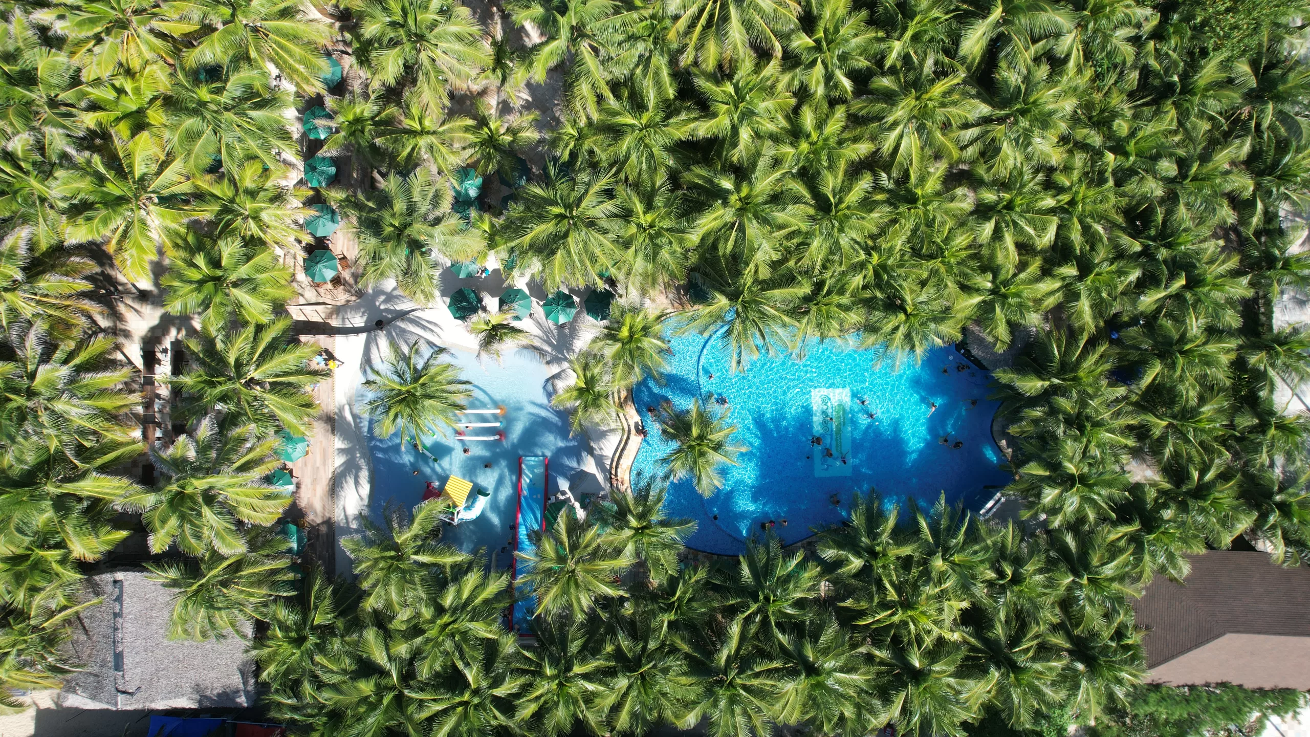 Aerial view of the tropical pools and palm trees at Crocobeach in Fortaleza