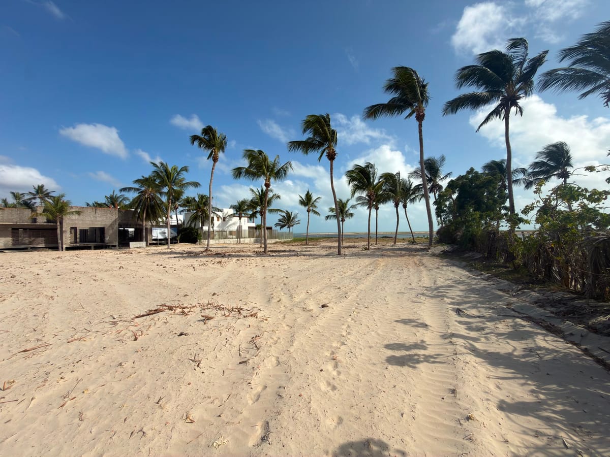 Open sandy terrain looking towards the waterfront