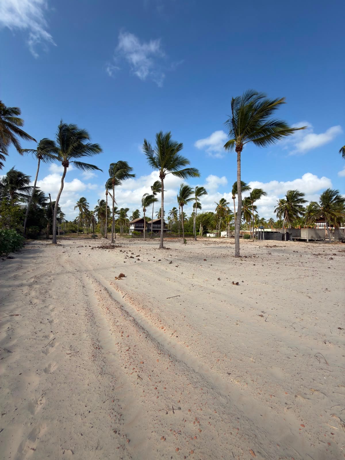 View inland across the sandy plot and palm trees