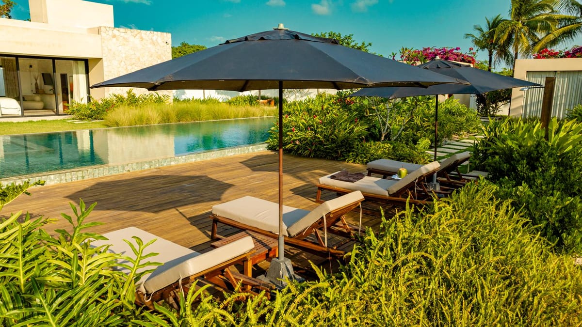 Swimming pool with sun loungers and landscaped planting